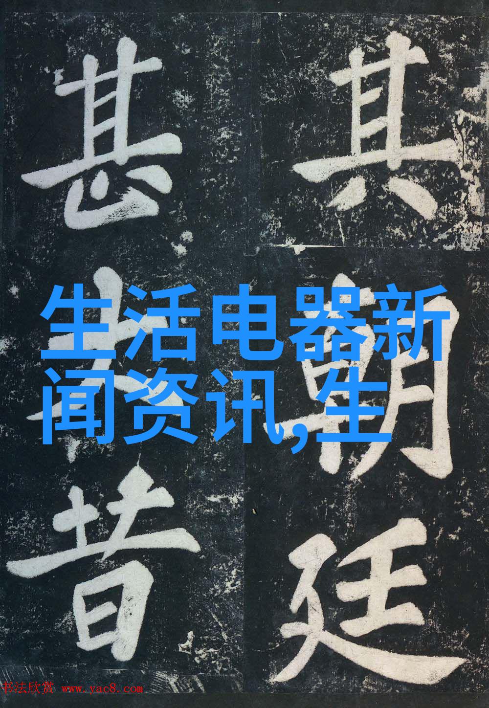 摄影师为婴儿与动物的好友拍写真