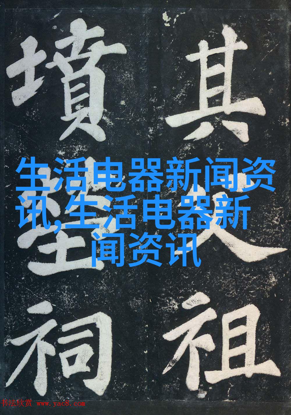 摄影师为婴儿与动物的好友拍写真
