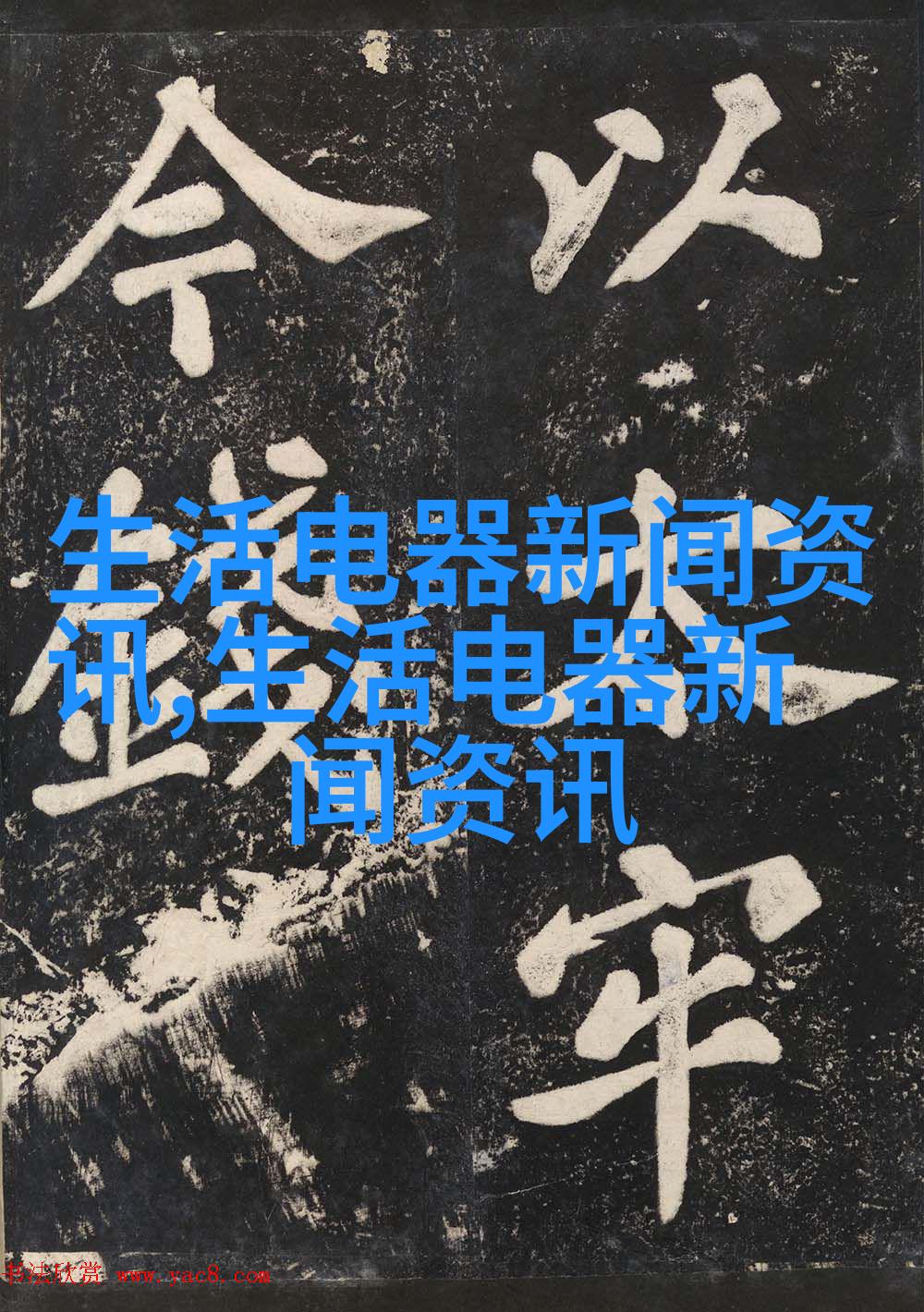 摄影师为婴儿与动物的好友拍写真
